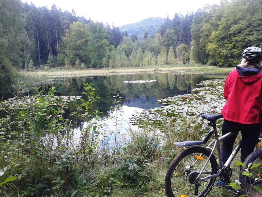 Ferienwohnung Dahner-Felsenland Exteriör bild